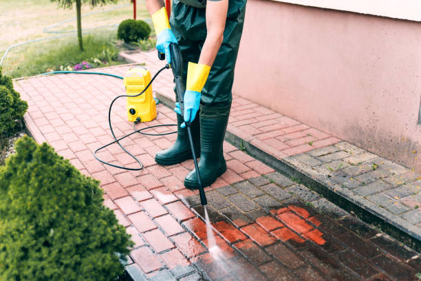 Best Animal Enclosure Cleaning  in Fabrica, TX
